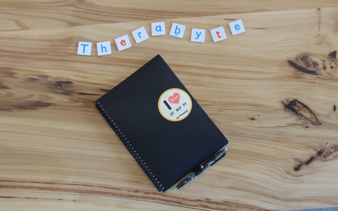 Therabyte + Zoom… continuing with Telehealth in this new age of healthcare.