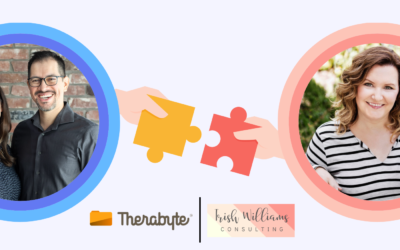 Partnership Announcement – Therabyte Teams Up with OTs Get Paid