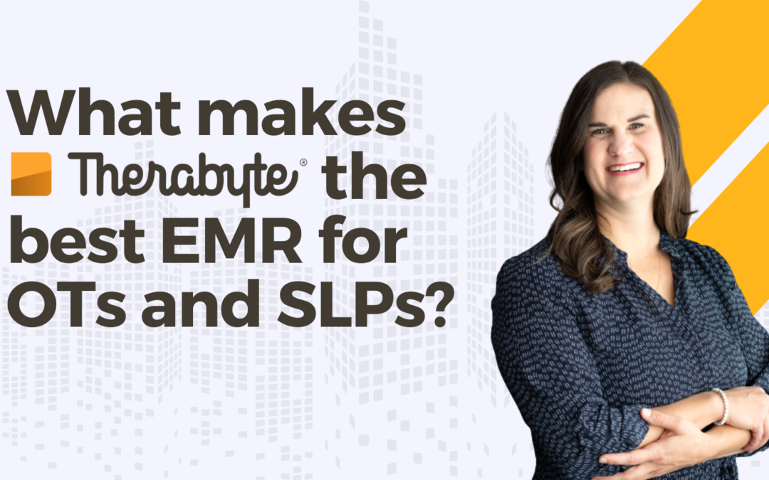 What Makes Therabyte the Best EMR for OTs and SLPs?